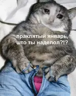 2022-01-24-mixnews-img-5518.webp
