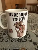 A95BE5EA-42A2-41C5-92B6-98695423E444.webp