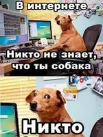 Без названия (1).webp