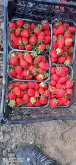 IMG_20220920_075838.webp