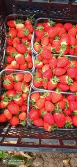 IMG_20221021_105509.webp