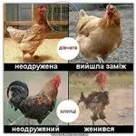 34AF7624-C997-4B1B-A62C-6093ECC48740.webp