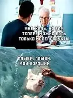 736D1690-C76B-4E7E-AB6E-3F7EC2F46779.webp