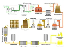 etapy-texnologii-proizvodstva-viski1.webp