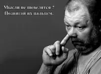 4039640_757f8f7ada2ab15c6fe82d6ee2a91f4e_800.webp