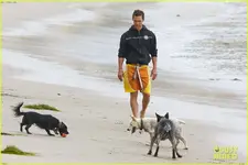 matthew-mcconaughey-plays-fetch-with-pups-on-the-beach-31.webp