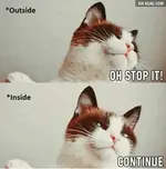 outside-inside-via-9gag-com-oh-stop-it-continue-my-reaction-7141606-1.webp