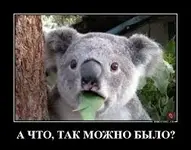 Без названия.webp