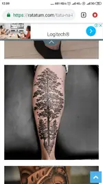 Screenshot_2019-06-17-12-09-44-246_com.android.chrome.webp