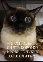 FB_IMG_1563911874030.webp