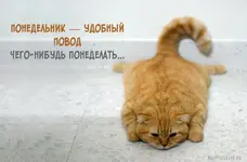 1472635854_03.webp