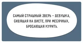 b9e34a9a3b6ff07223433d4ee503cdd1_1950866526.webp