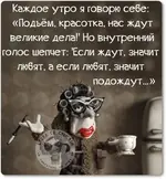 6IMWGel2iY-418x450.webp