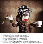 1426078823_13.webp