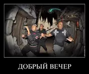 333.webp