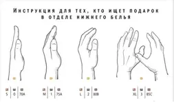 333.webp