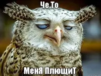 222.webp