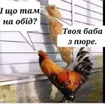 FB_IMG_1726398408239.webp