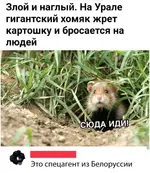 _20190926_144721.webp
