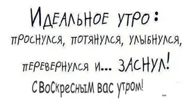 555.webp