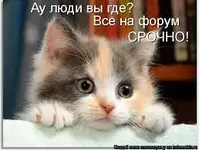 Без названия.webp