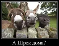 43-1-505x400.webp