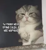 _20191005_210858.webp