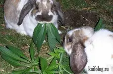 1287645324_013.webp