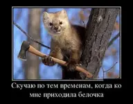 1449709362_demo4.webp