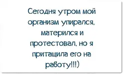 253554_27042808_1427e4c993043cf484568da72fba4f6e_0.webp