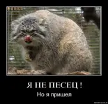 62356.webp