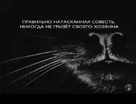_20191010_144752.webp