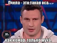 563265.webp