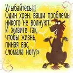 4547.webp