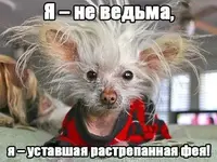 5874589.webp