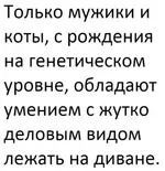 _20191010_235547.webp