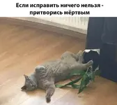 _20191011_012731.webp