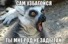 54654.webp