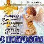 images (7).webp