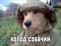 258952.webp