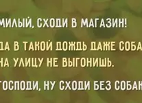 3efb9161d2655c8546331cfe4214a193_o.webp
