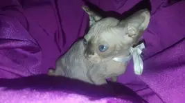 IMG-aa3666f91c9064053eba167b14b40ddb-V.webp