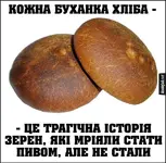 ef5b0a0eb61456a57f0c179e68a023ef.webp