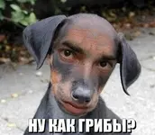 87654354.webp