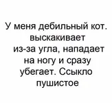 _20191016_232320.webp