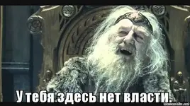 1481749596141666775.webp 1481749596141666775.webp