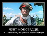 46546.webp