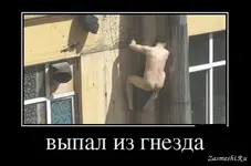 65464654.webp