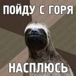 444646.webp