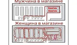 KZ3Ka2taSn0.webp